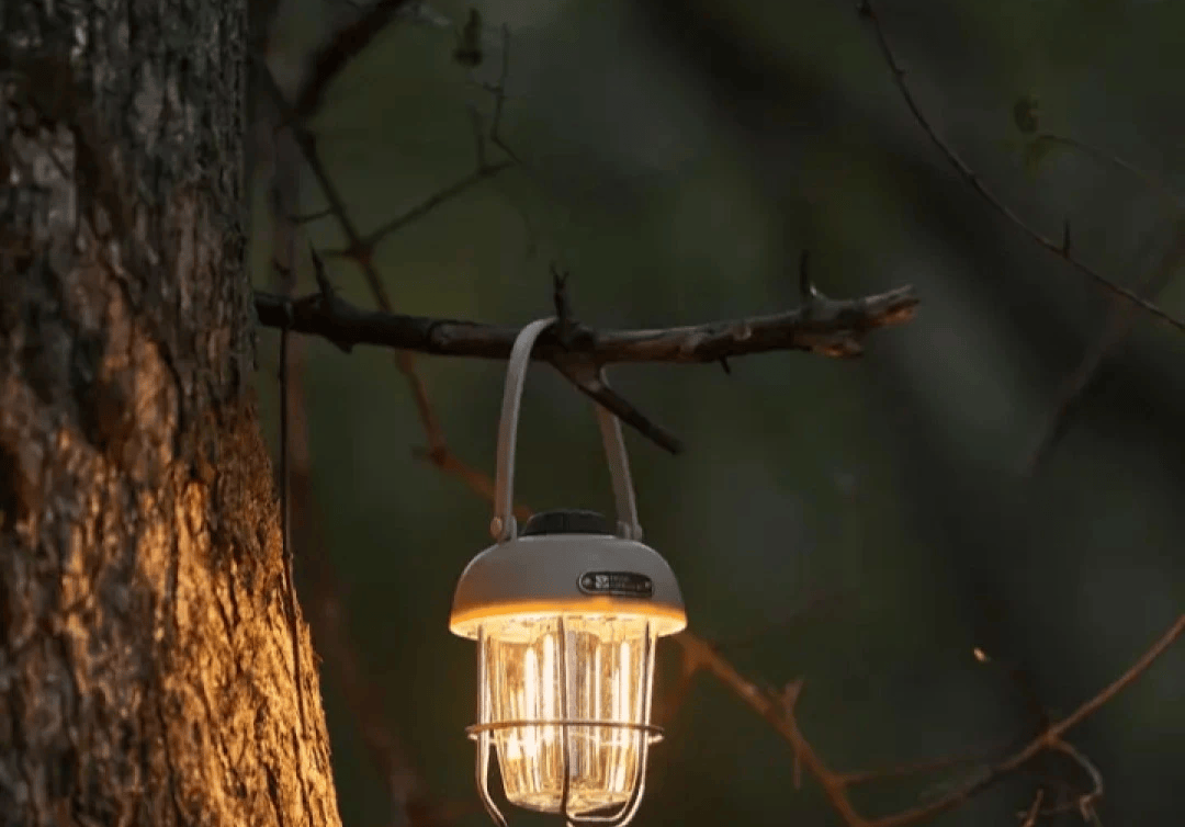 局东南亚跨境露营灯新加坡设计中心澳门新葡京网站新加坡商人吕文扬布(图2)